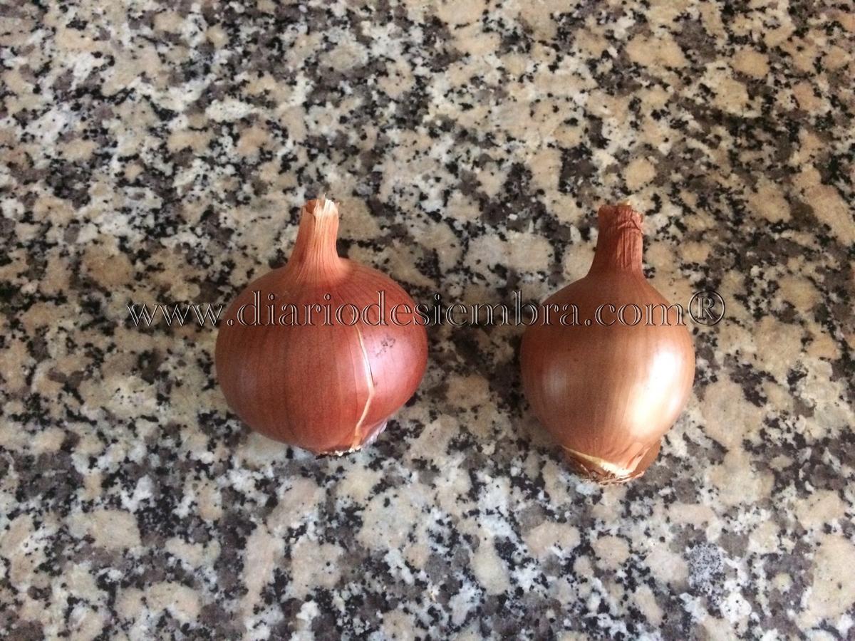 cebollas