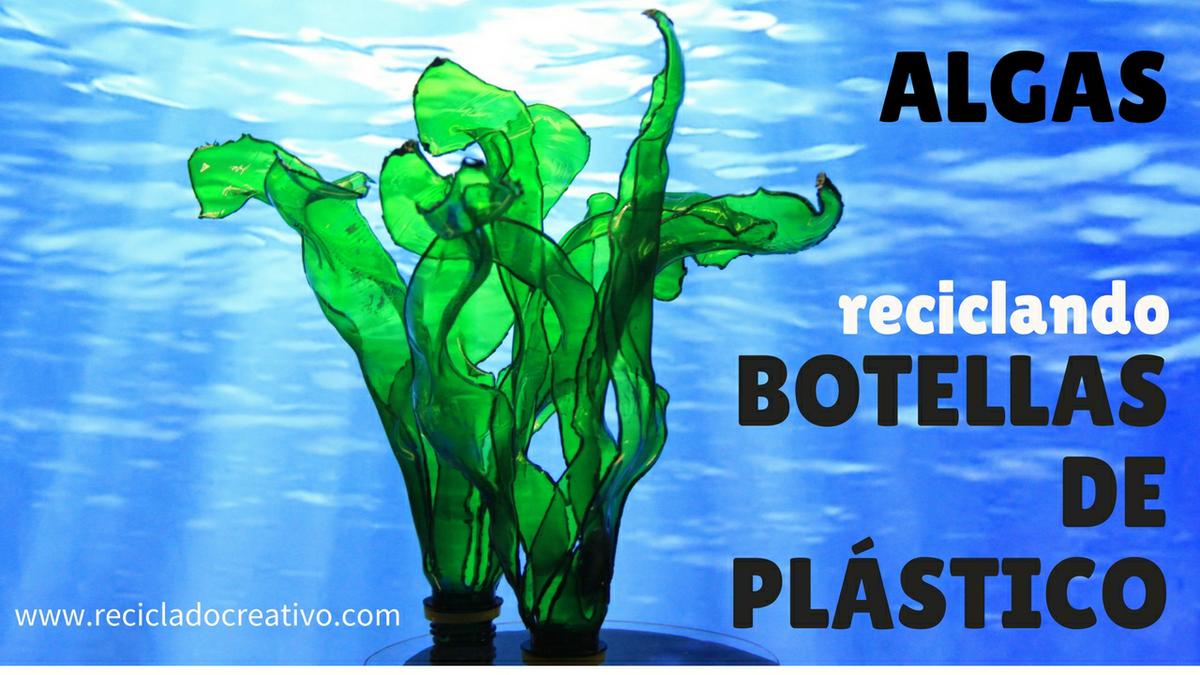Hojas verdes y algas con botellas de plástico