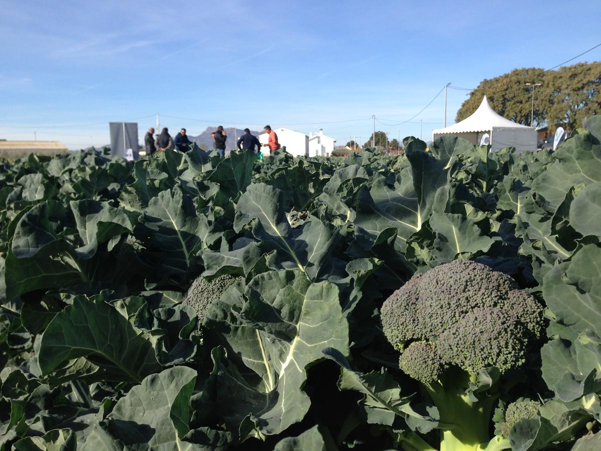 Titanium presentación