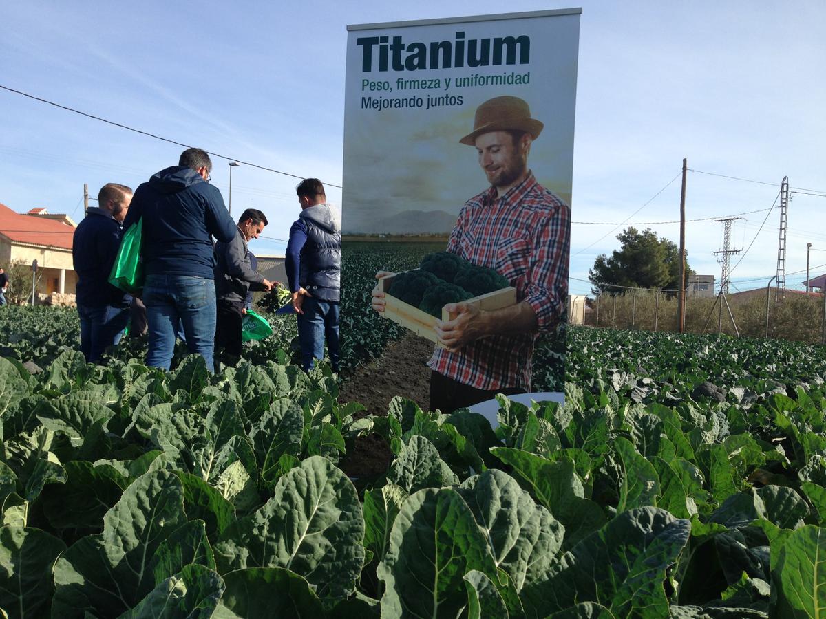 Nueva imagen Titanium