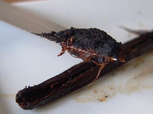 ??????????????????????