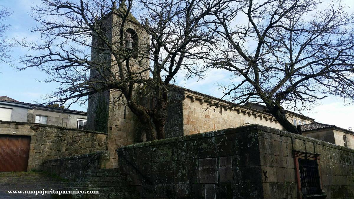 16650951_10212197883007927_103387500_o