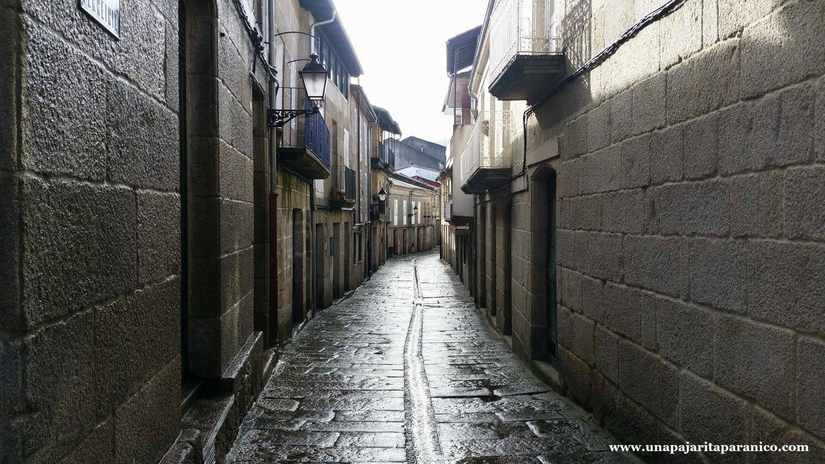 16709472_10212197881367886_214614714_o