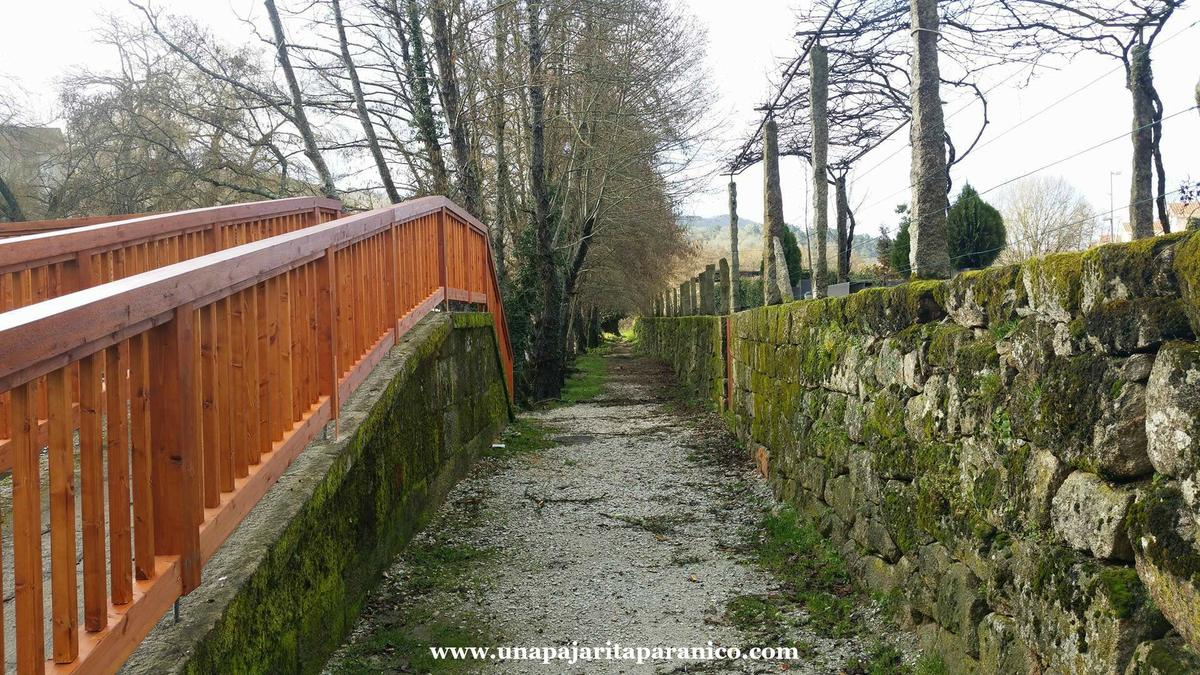 16651439_10212197886208007_734144909_o