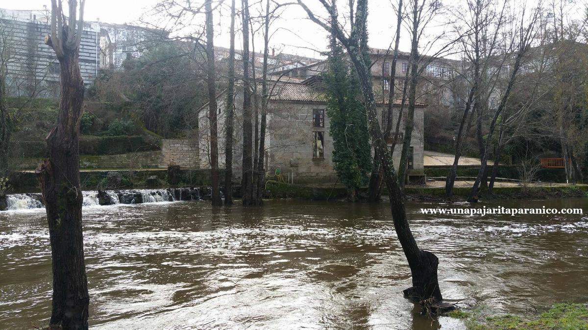 16651185_10212197886608017_1630388913_o