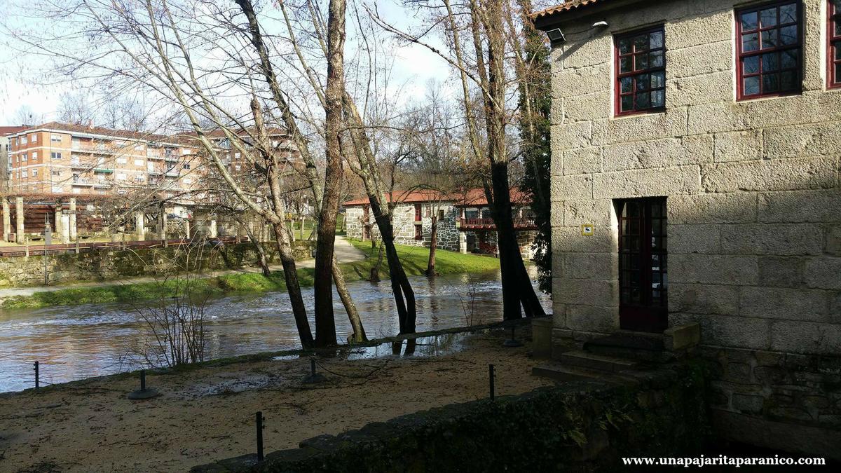 16667227_10212197884567966_972827503_o