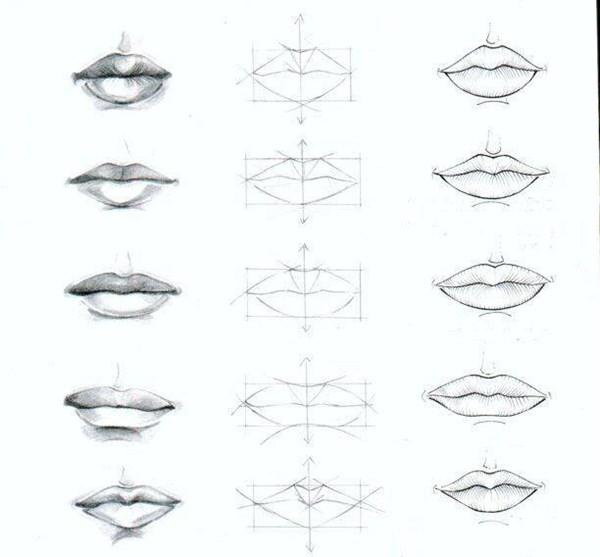 conociendo un poco más sobre los labios