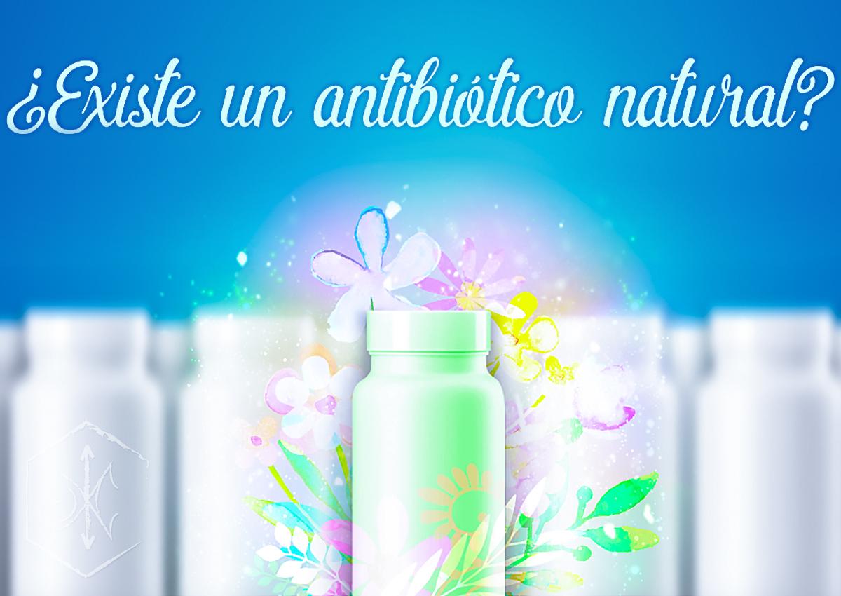 Antibióticos naturales que hay que conocer!
