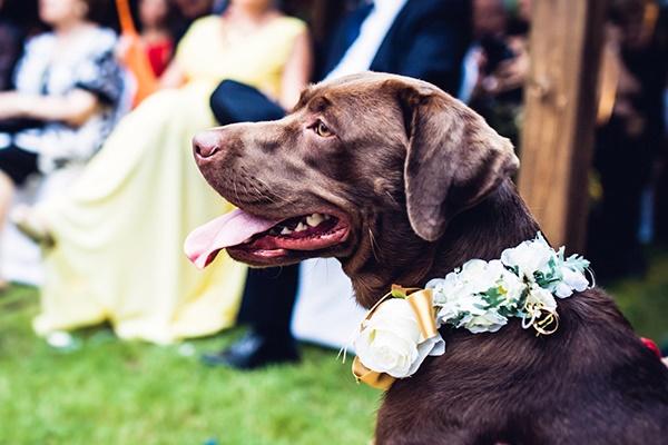 EDISEE_La-boda-con-Diana-Feldhaus_Wedding-Planner-decoración-boda-playa (112)