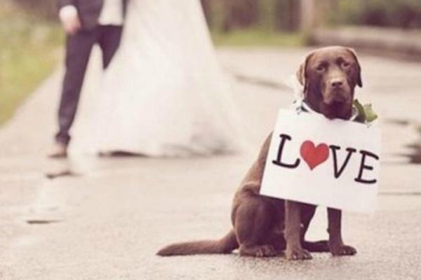 EDISEE_La-boda-con-Diana-Feldhaus_Wedding-Planner-decoración-boda-playa (113)