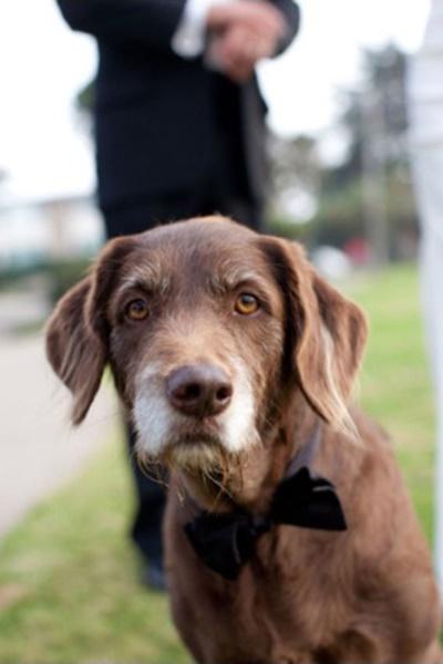 EDISEE_La-boda-con-Diana-Feldhaus_Wedding-Planner-decoración-boda-playa (38)