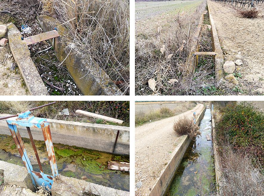 De huerto urbano a finca rústica