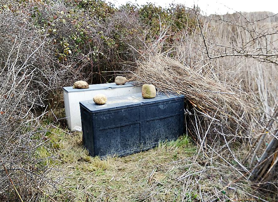 De huerto urbano a finca rústica