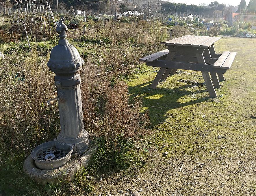 De huerto urbano a finca rústica
