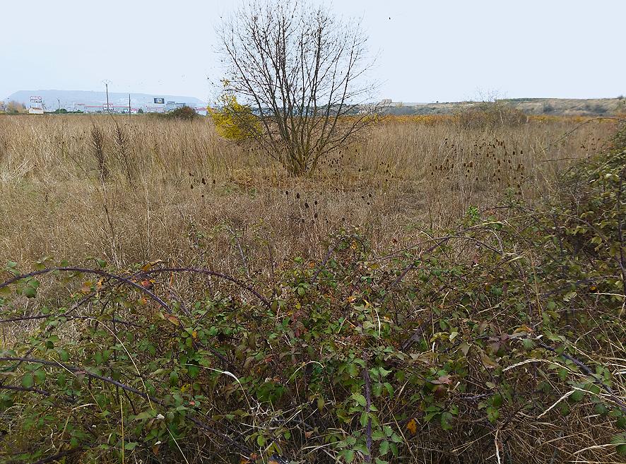De huerto urbano a finca rústica