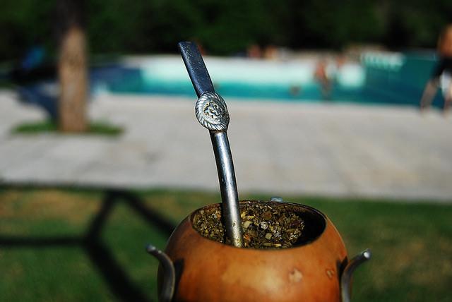 Yerba mate