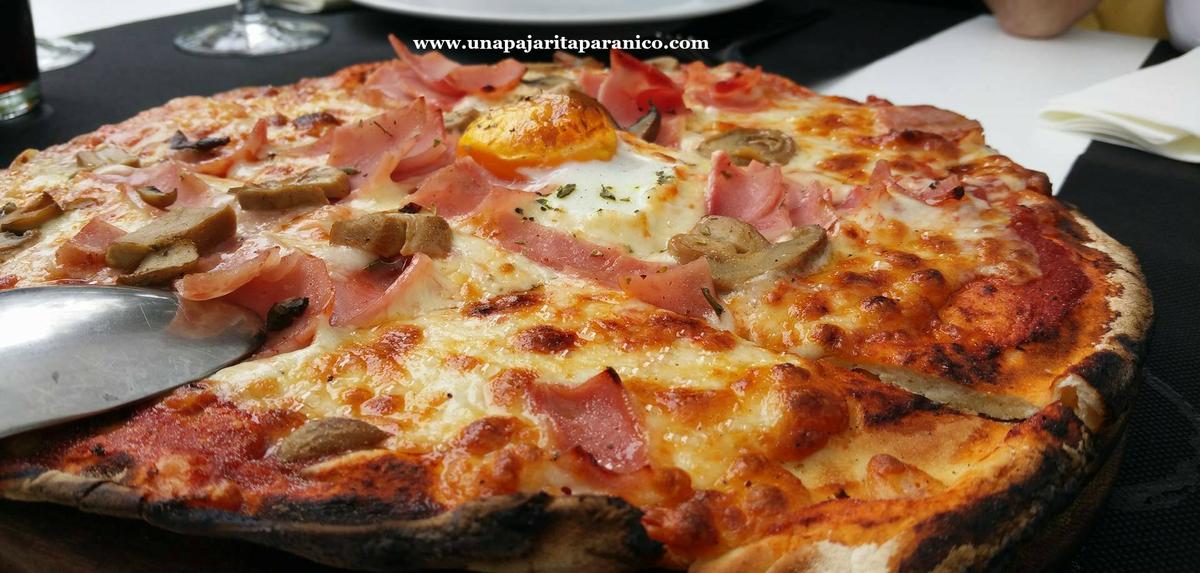 13621797_10210076840503190_1316949681_o