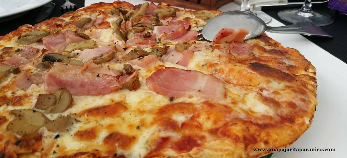 13682483_10210076840023178_1400143871_o