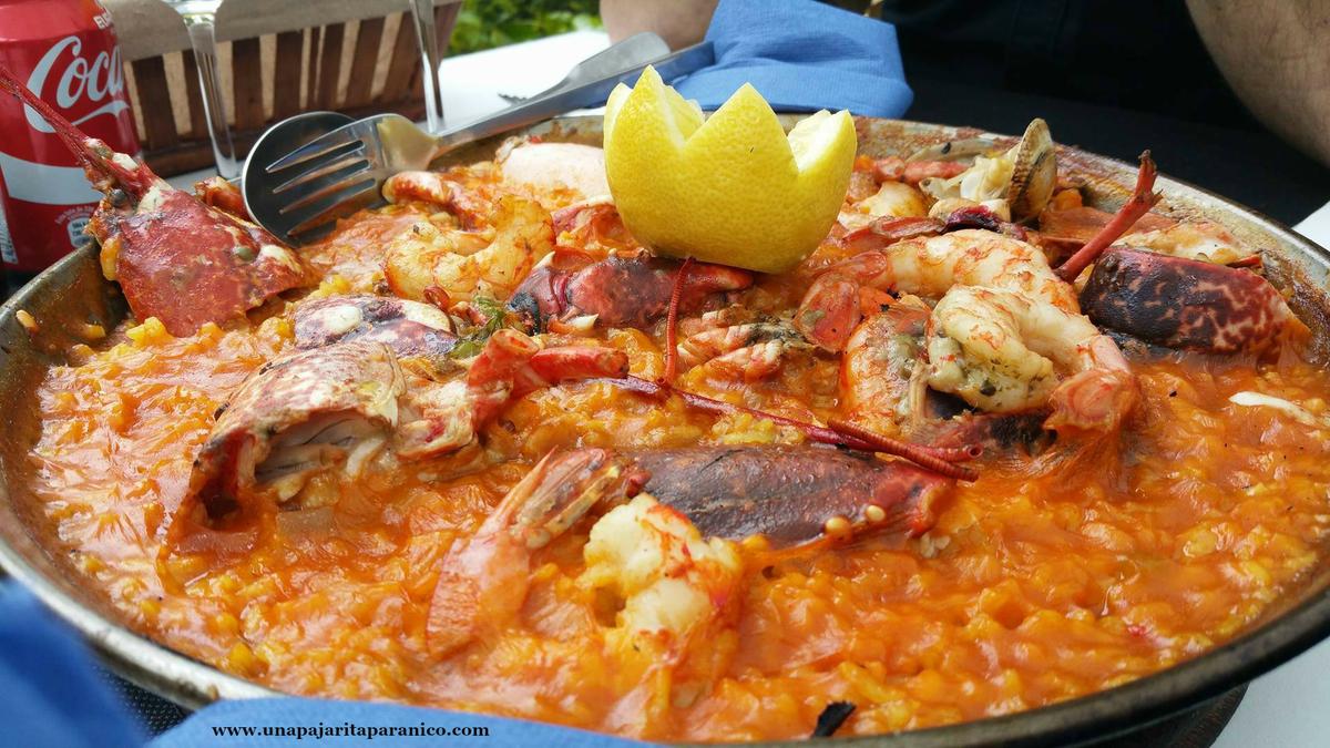 13616130_10210076837743121_802738419_o