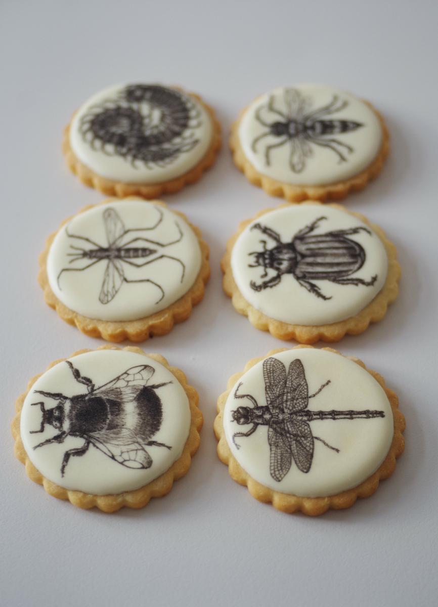 doctorcookies galletas decoradas daniel dors (7).JPG