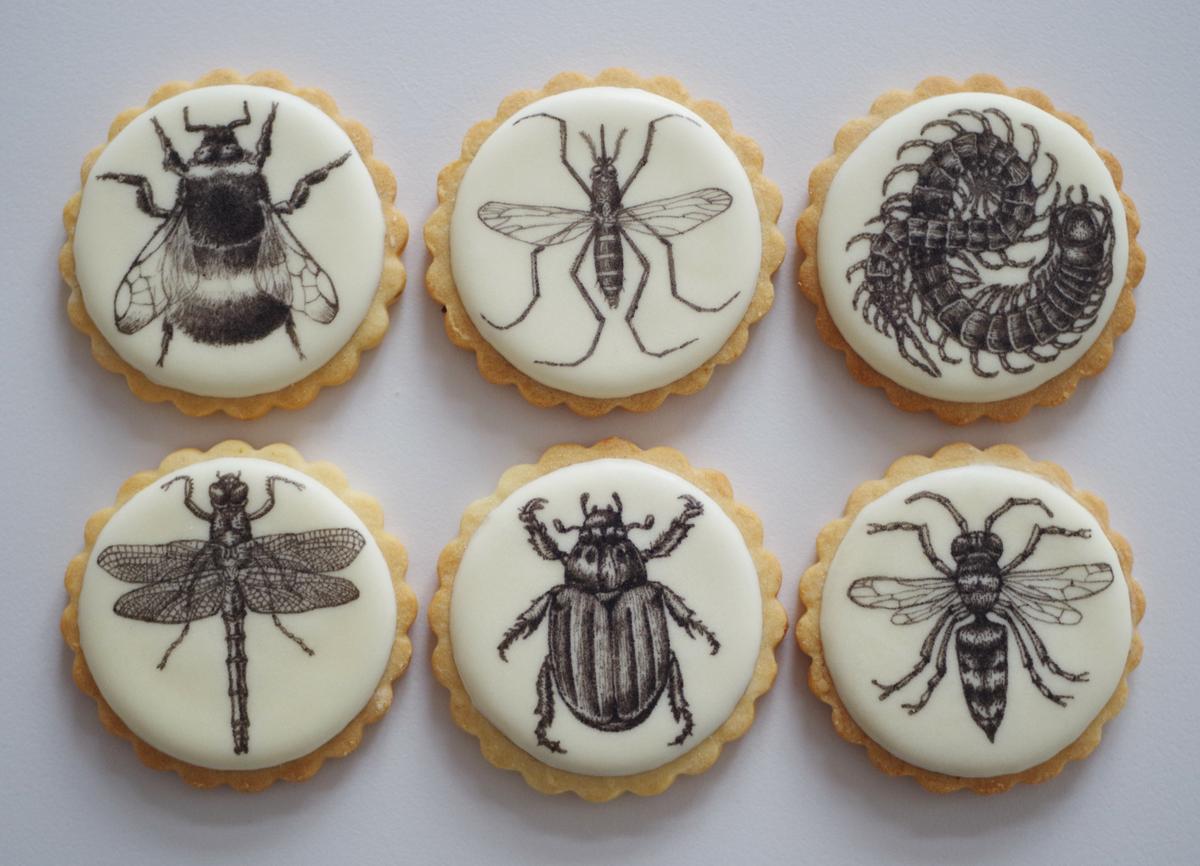 doctorcookies-galletas-decoradas-daniel-dors-6