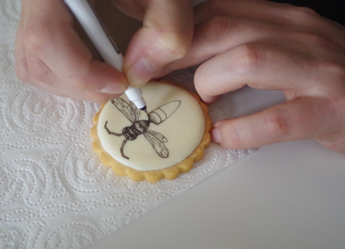 doctorcookies galletas decoradas daniel dors (1).JPG