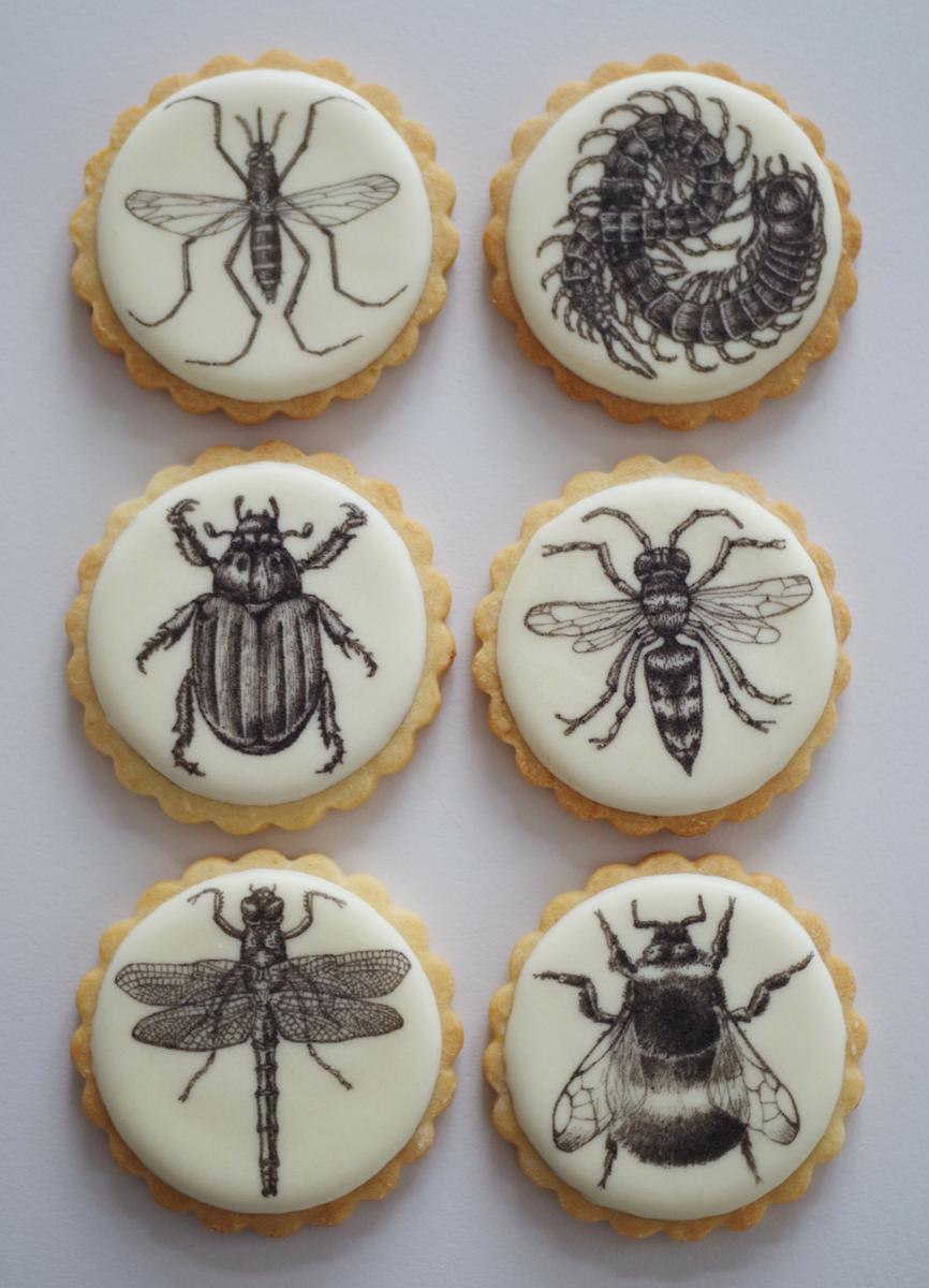 doctorcookies galletas decoradas daniel dors (8).JPG