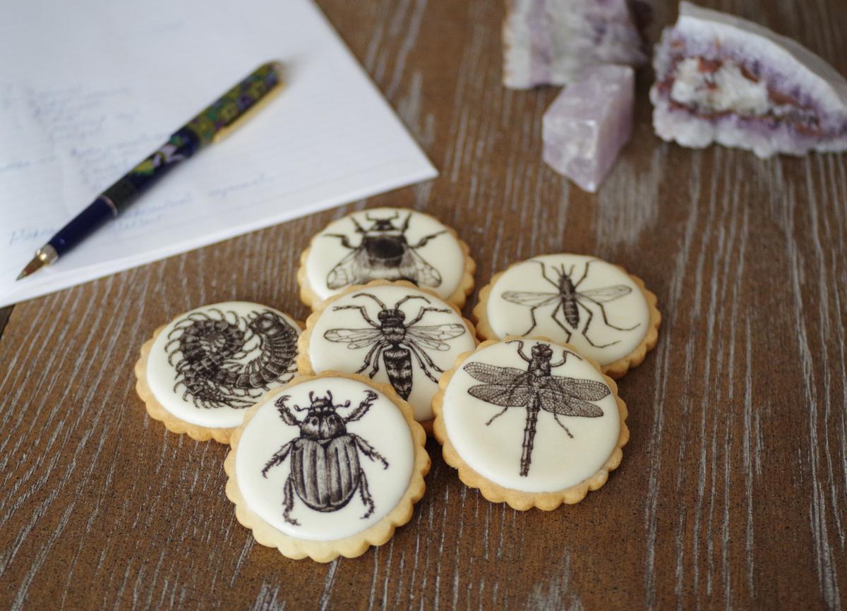 doctorcookies-galletas-decoradas-daniel-dors-12