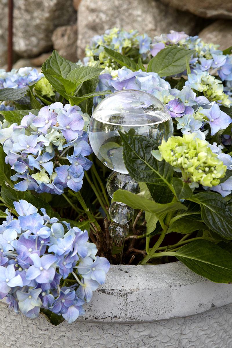 Affari-primavera-verano-2017-hortensia