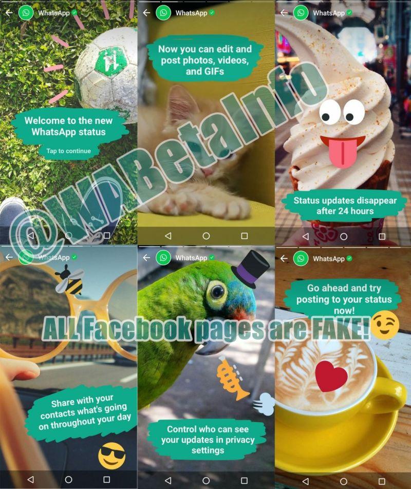 yqm0biezqdvonfjy4zhq