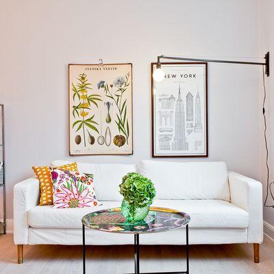 láminas botánicas bemydec