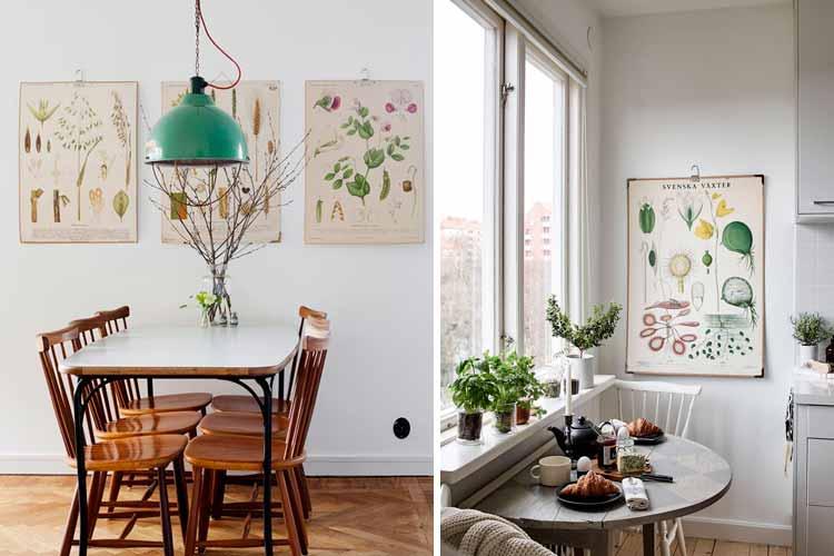 láminas botánicas bemydec