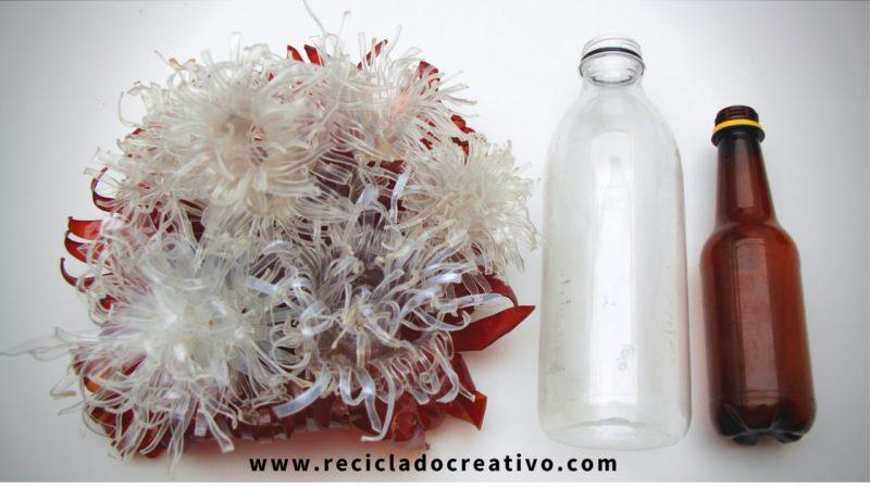 Ortigas y algas marinas con botellas de plástico