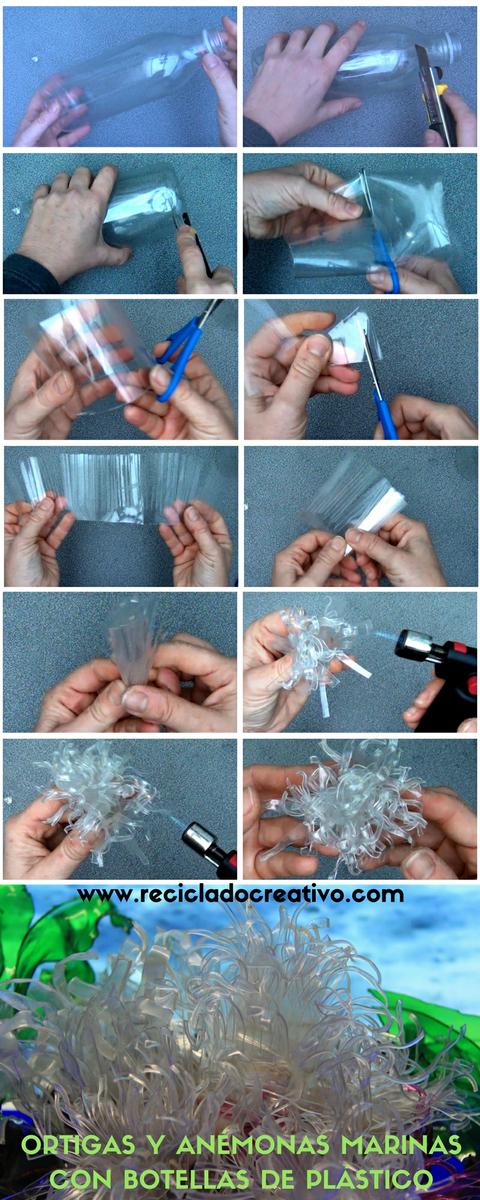 Ortigas y algas marinas con botellas de plástico