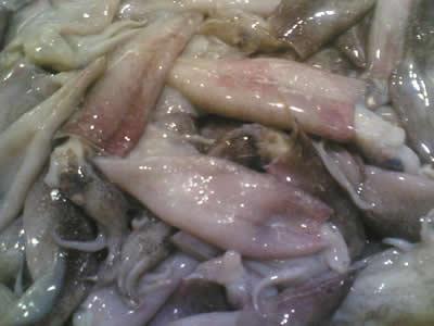 Calamares rellenos de mamá