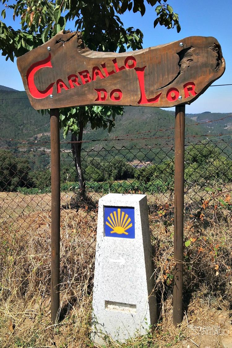 foto de mojon del Camino