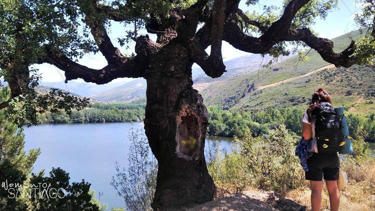 foto de womantosantiago