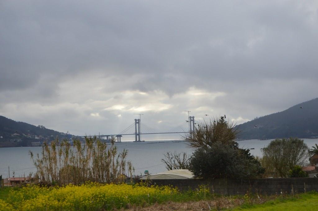 LOOK-ROJO-NEGRO (16)