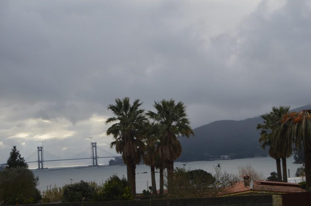 LOOK-ROJO-NEGRO (15)