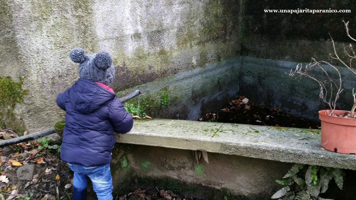 16810682_10212308669977532_62661982_o