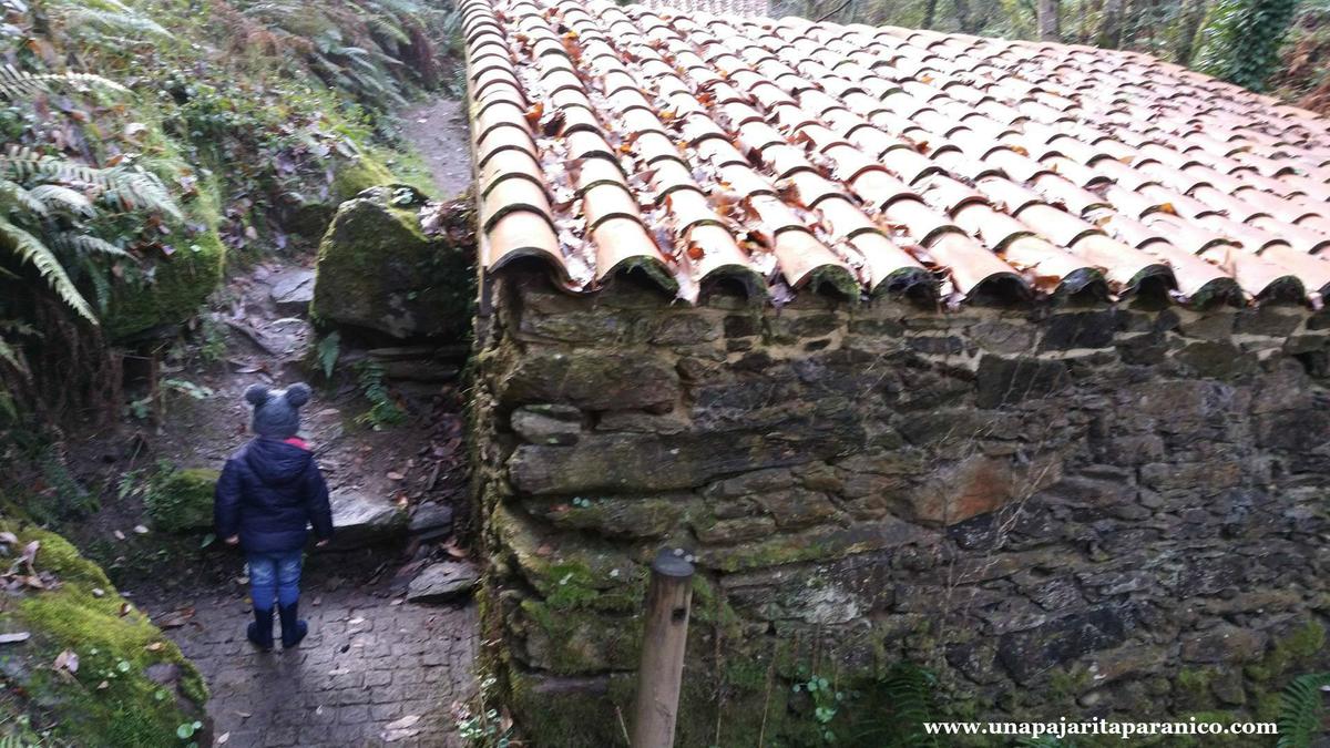 16880962_10212308675977682_1221923122_o