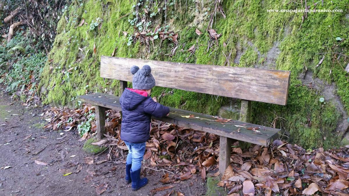 16910629_10212308671257564_1933462564_o