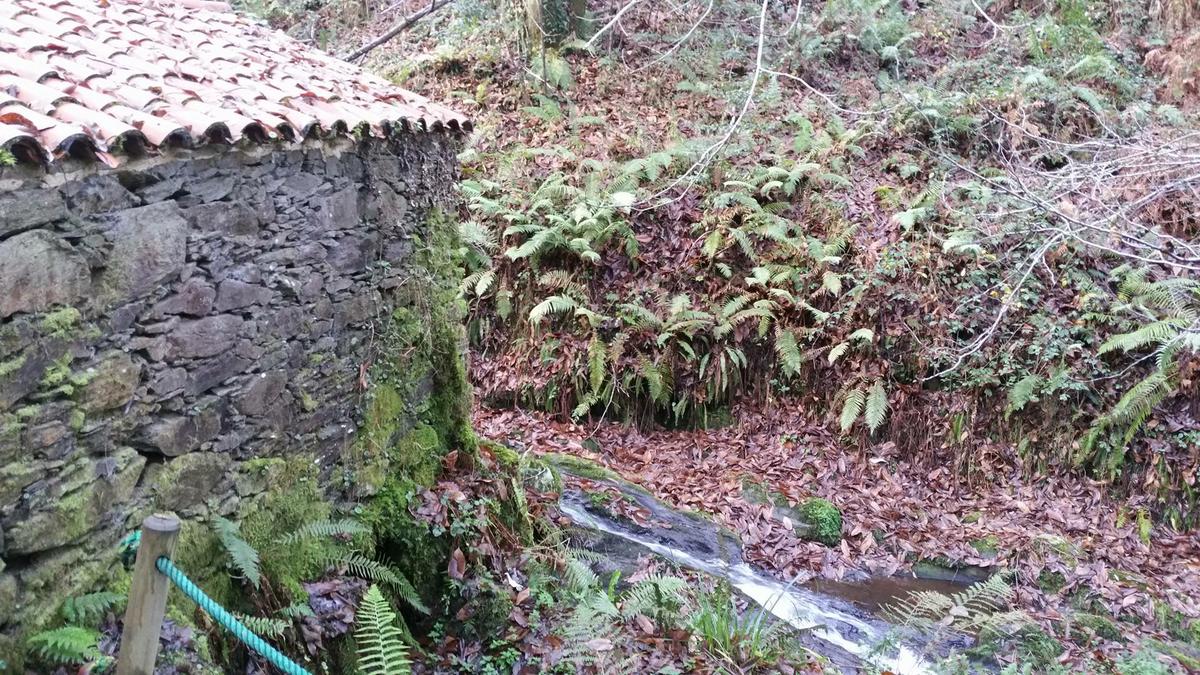 16833152_10212308679137761_72500049_o