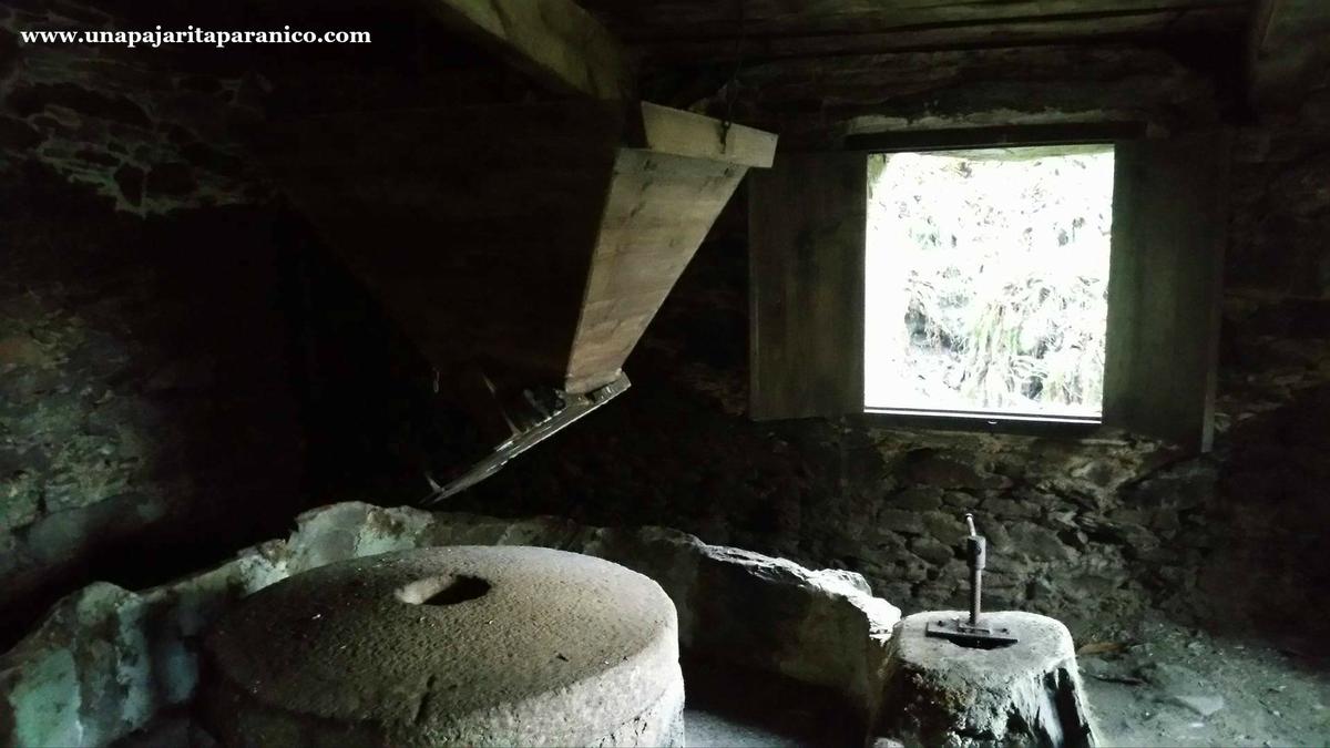 16833180_10212308673537621_138234367_o