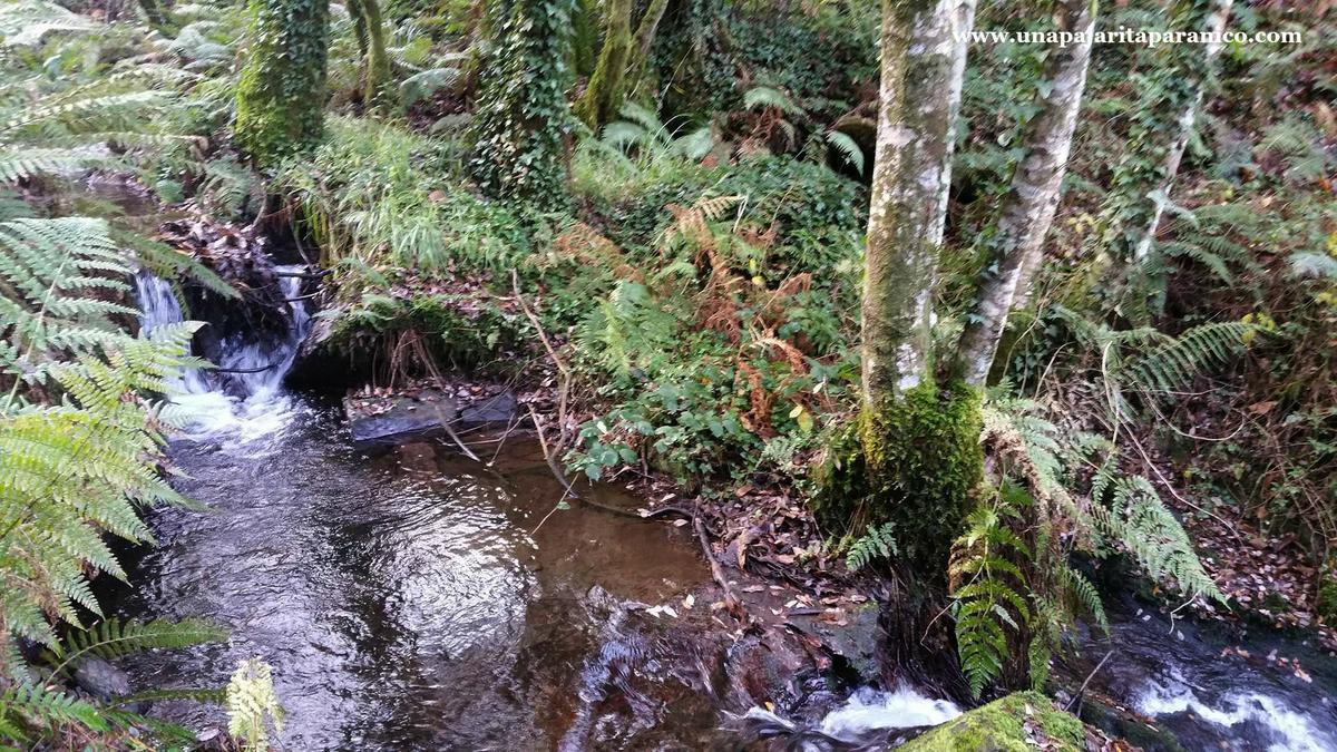 16833489_10212308674257639_2106664879_o