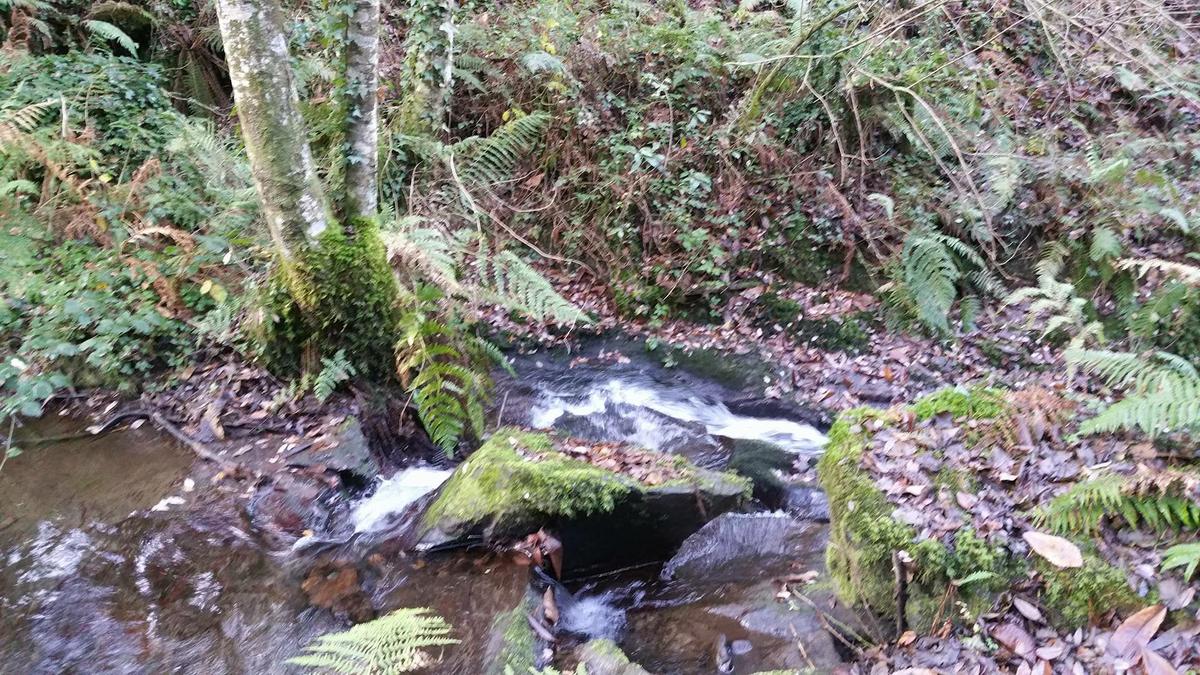 16880126_10212308674137636_2134403891_o