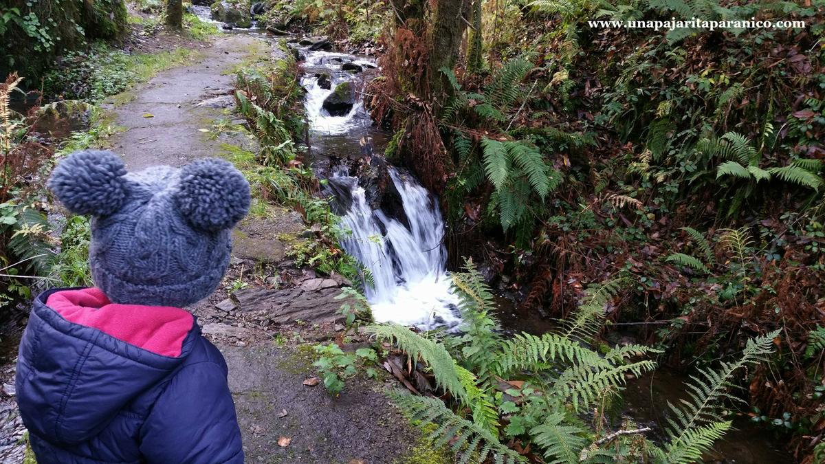 16880585_10212308674977657_419997098_o