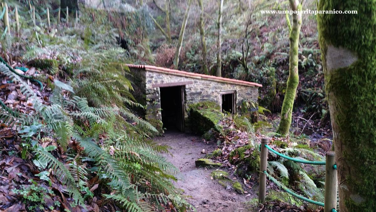 16880738_10212308673697625_336032579_o