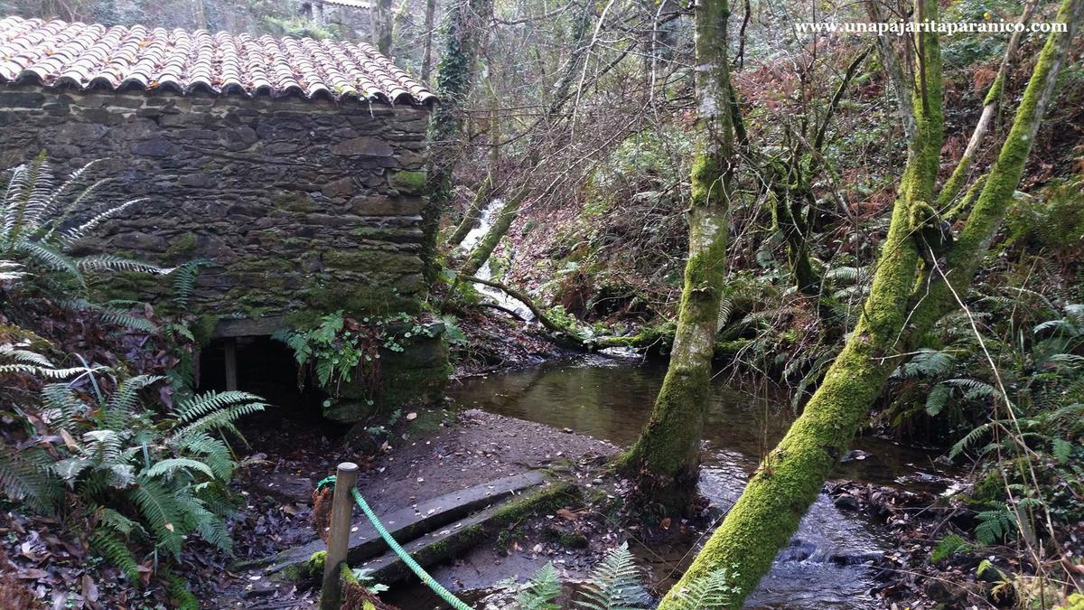 16880646_10212308674337641_750475224_o