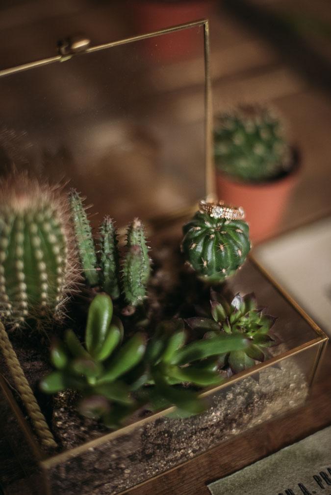 cactus and love ladichosa 